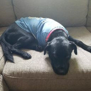 Meet your Posher, Brett